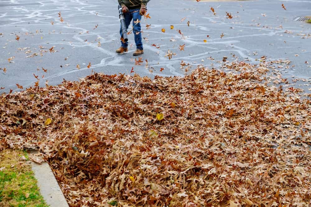 man-working-with-leaf-blower-the-leaves-are-up